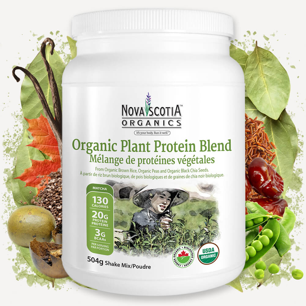 NSO_Website_Product_Graphics_Matcha_Protein_Powder_Ingredients_Canada