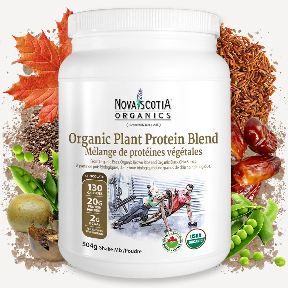 NSO_Website_Product_Graphics_Organic_Plant_Protein_Blend_Chocolate_Ingredients-2